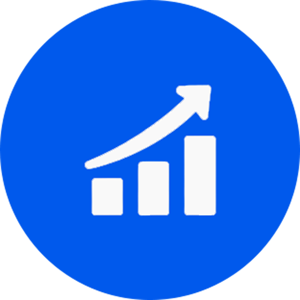 Digital Marketing Experience Icon
